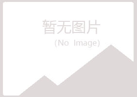 兰山区如柏建设有限公司